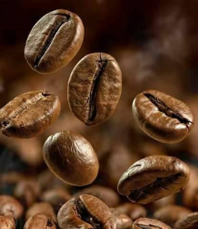 Cà phê Nhân Sống Robusta_COFFEE NEW