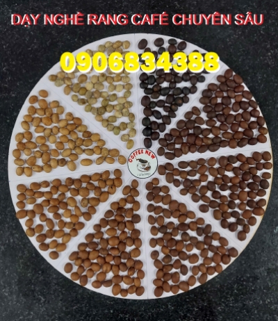 DẠY NGHỀ RANG XAY CAFE CHUYÊN SÂU