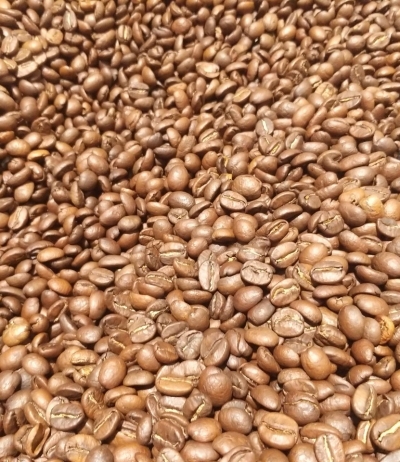 z3661813864919 c1d31d5450155178fb1213607a085a9e